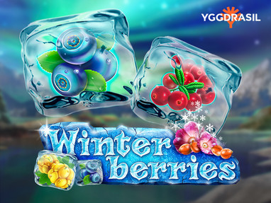 Winterberries демо версия